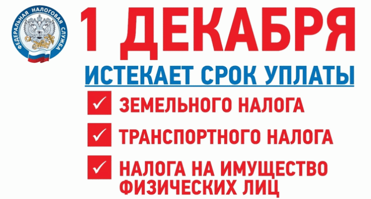 Новые Налоги В 20 Году