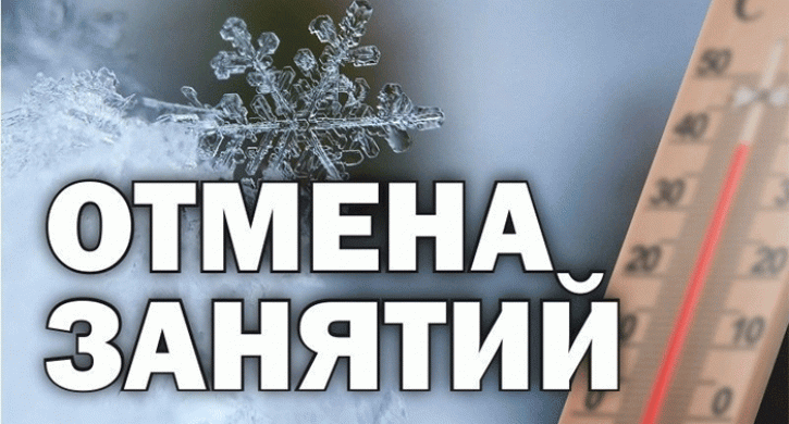 Отмена занятий в школах Челябинской области 14 декабря - Доступ
