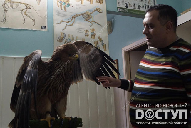 Дагестанский орел. Владимир натанович орлов детский поэт. Памятник орлу в горооде орёл. Орел дагестан. А н орел имя.