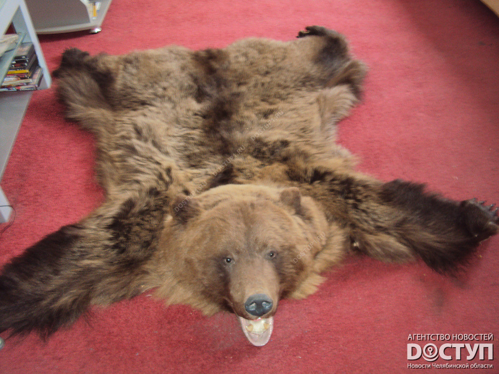 умирающий медведь